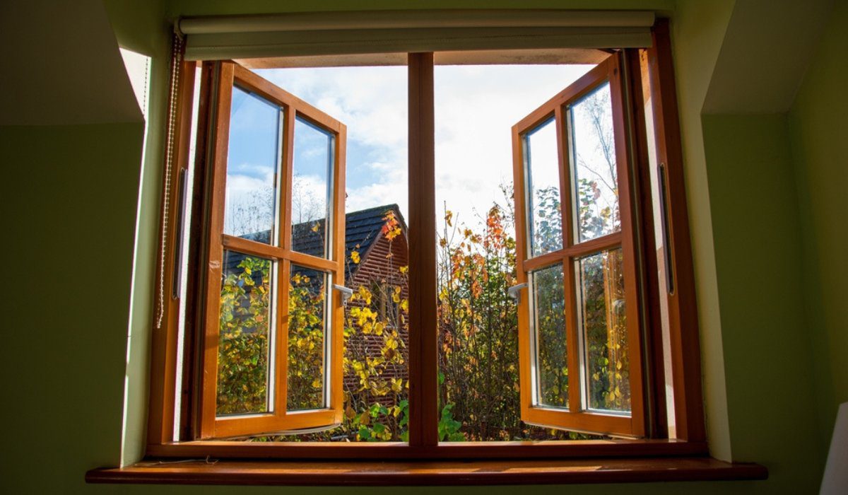 windows